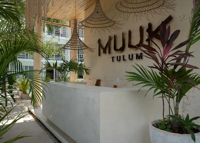 Modern And Stylish In Muuk * Tulum